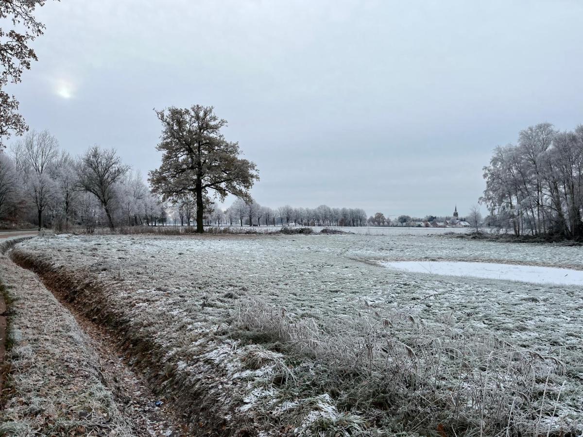 Hébergement de vacances Sfeervol Familielandhuis In De Groene Kempen