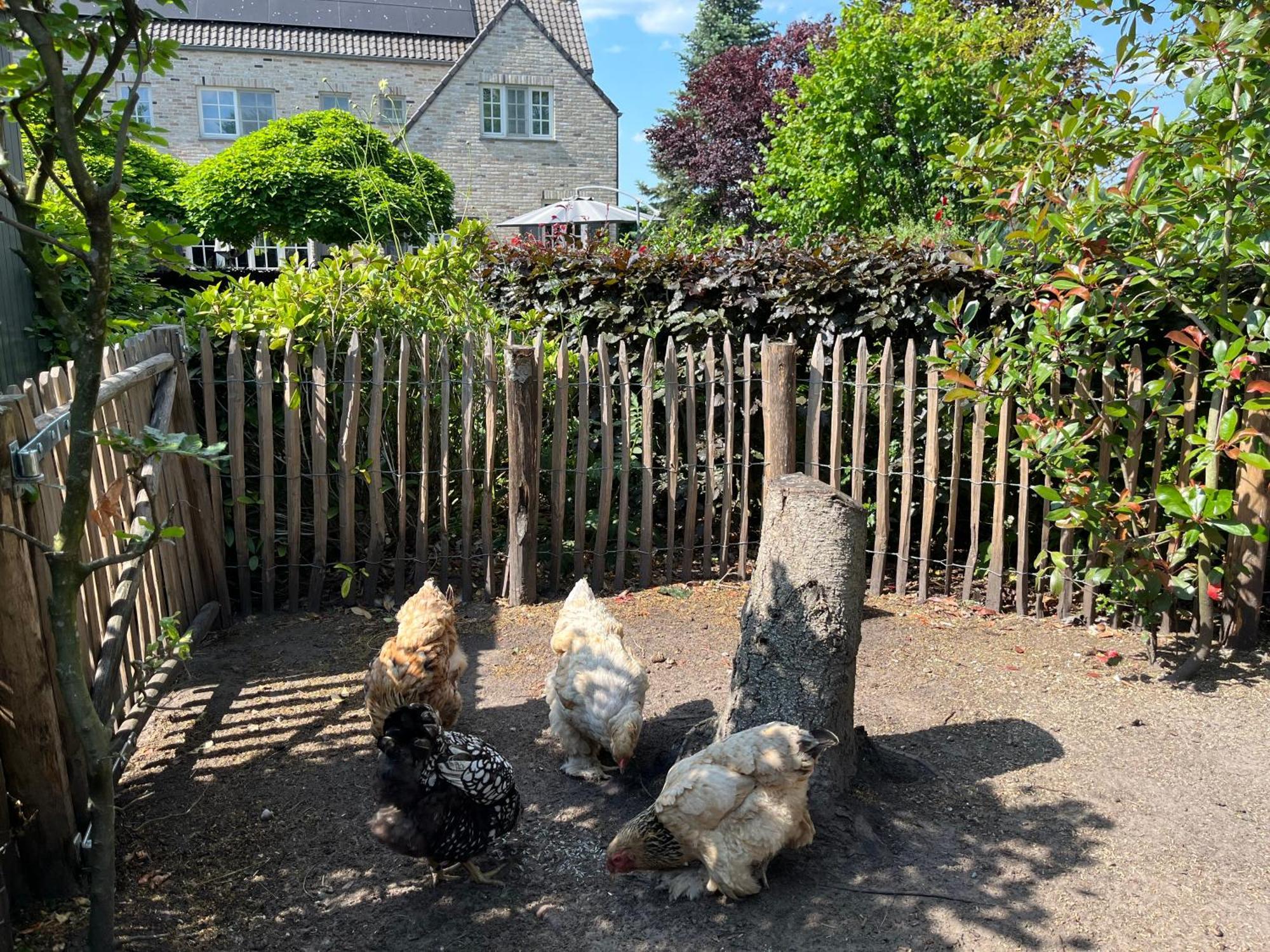 Sfeervol Familielandhuis In De Groene Kempen Hébergement de vacances Baerle-Duc
